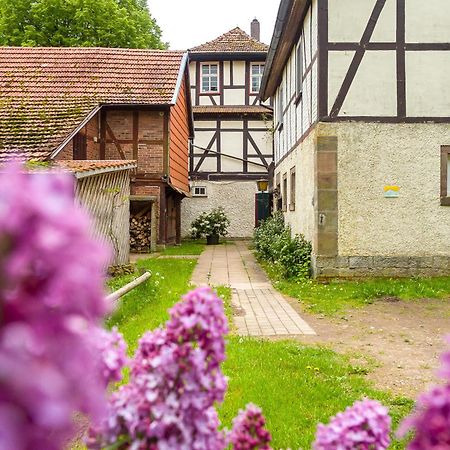 Forsthaus Halbemark Bad Sooden-Allendorf Extérieur photo
