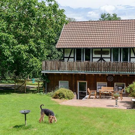 Forsthaus Halbemark Bad Sooden-Allendorf Extérieur photo