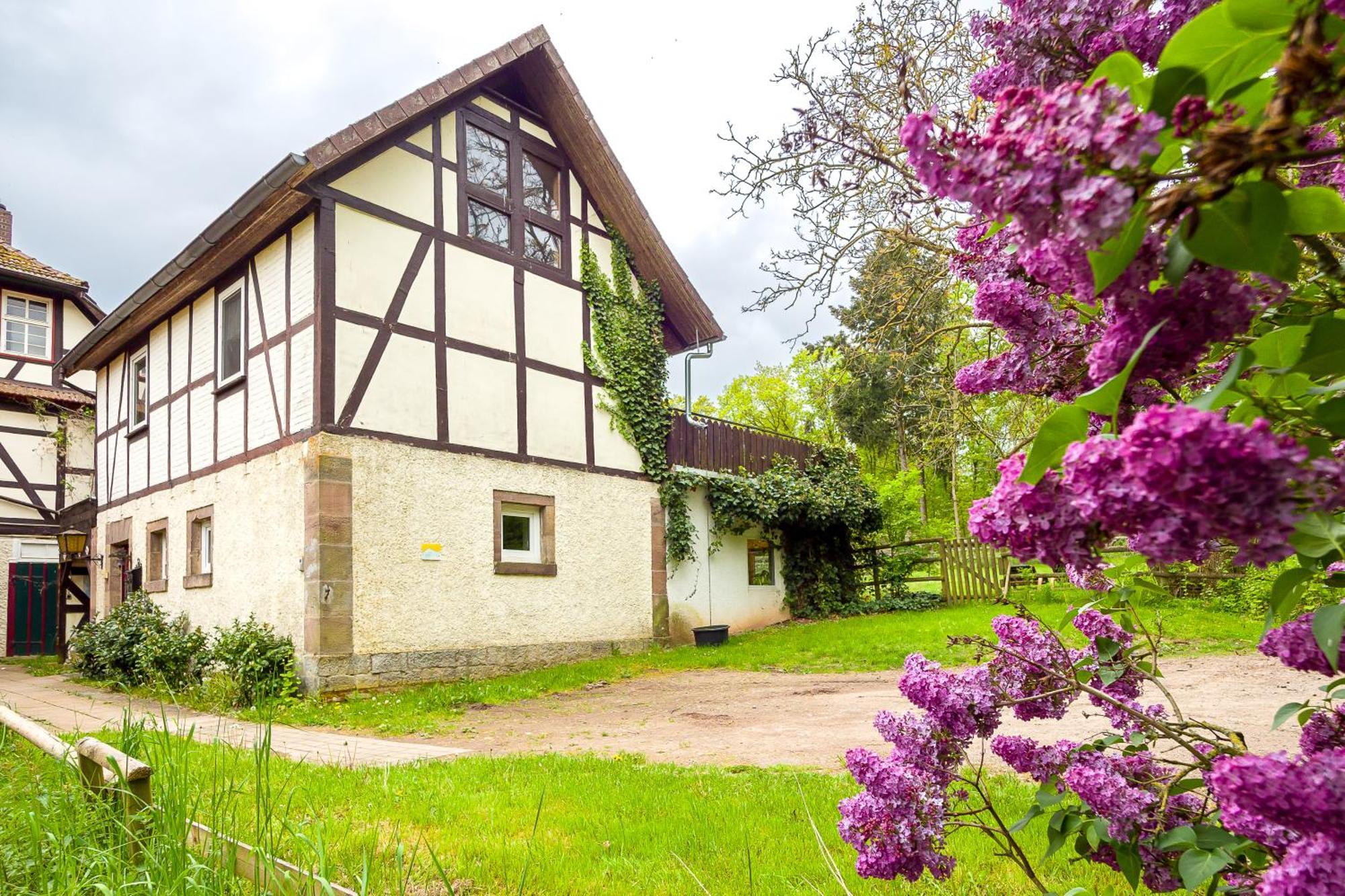 Forsthaus Halbemark Bad Sooden-Allendorf Extérieur photo
